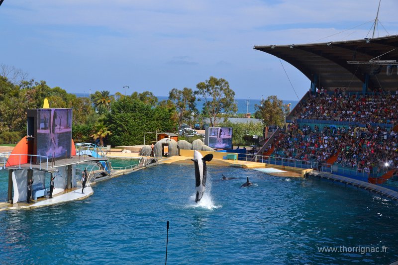 Marineland aout 2014 102.JPG - Marineland - Parc d'attractions aquatiques - Antibes - Août 2014